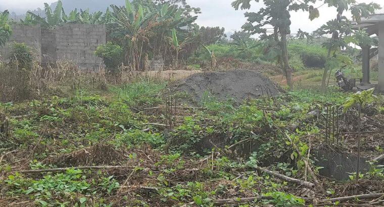 Land for sale with all documents in Buea and Limbe